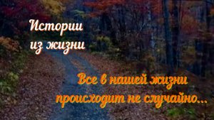 Истории их жизни - Все в нашей жизни происходит не случайно... #рассказы #аудиокниги