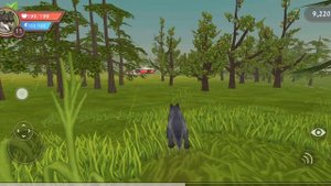 прокачиваю волка.