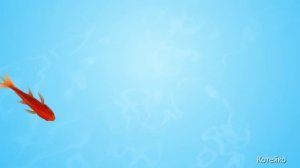 Игровое видео для кошек и котов, 2. Рыбки, длинная версия. Только для животных под присмотром людей