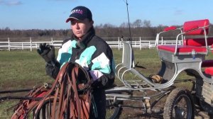 Европейская упряжь. Фильм первый. Экипаж вагонет.