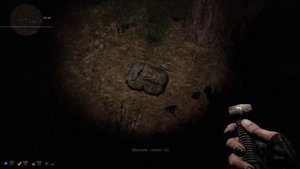 S.T.A.L.K.E.R Связь Времён/"Тайник Лешего в Рыжем Лесу"/Гид/#11