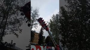 Луки парк. Бумеранг.