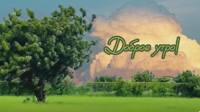С добрым утром | DY-3 #доброеутро #сдобрымутром