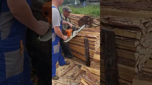 STIHL MS440 против сухого листвяка. Кто кого? Вопрос риторический.