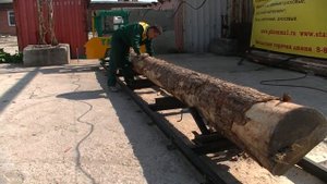 Закрепление бревна перед распиловкой на пилораме "Тайга Т-1"