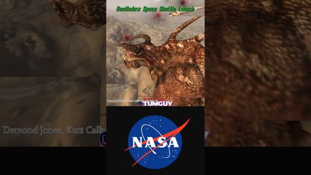 Fallout Space Program #fallout #newvegas #falloutnv #tumguy #nasa #space #deathclaw