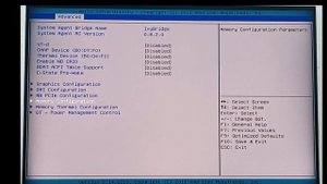 AMI BIOS Unlocked Features Preview