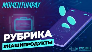 Momentum Pay платформа управления залоговыми кредитными линиями