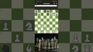 Преимущество в 32.1 по оценке chess.com. Впервые такое вижу (Просто ходы)