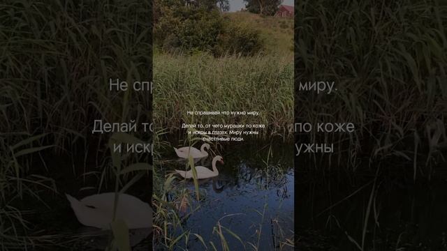 #психология #коуч #личнаятрансформация #саморазвитие #изменисебя #новаяя #личностныйрост