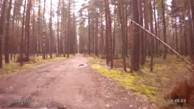 QStar A7 для NEW ЭЛЕКТРОНИКА (Велосипед) смотреть онлайн