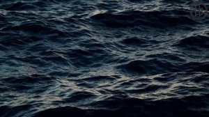 DJABBE sound. Dragon Incarnations. Immersion music.