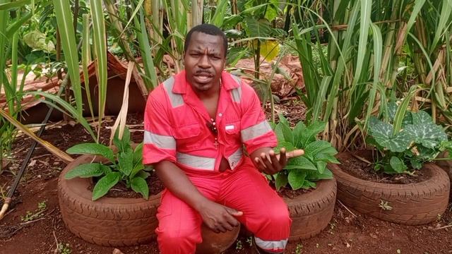 From a beggar to a poultry farmer. How I Started a Poultry farm from Scratch with  little money.