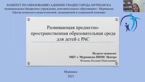 Развивающая предметно-пространственная образовательная среда для детей с РАС