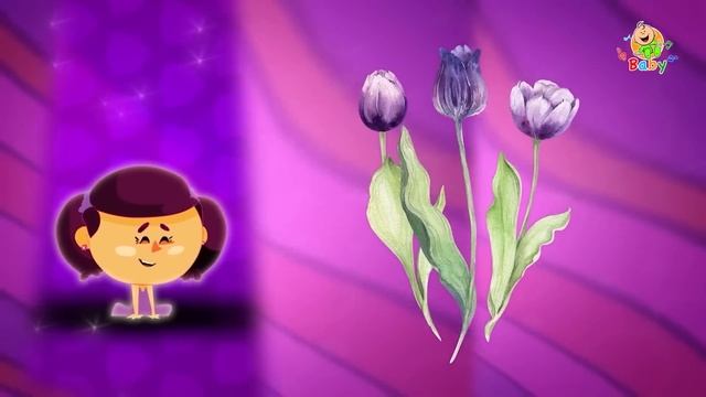 البنفسجي  детский нашид цвета на арабском смотреть онлайн