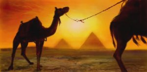 Корабли Пустыни _ Nraffiti _ Граффити ВКонтакте