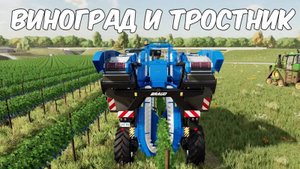 Сбор винограда и сахарного тростника. Farming simulator 22 #60. КООП.