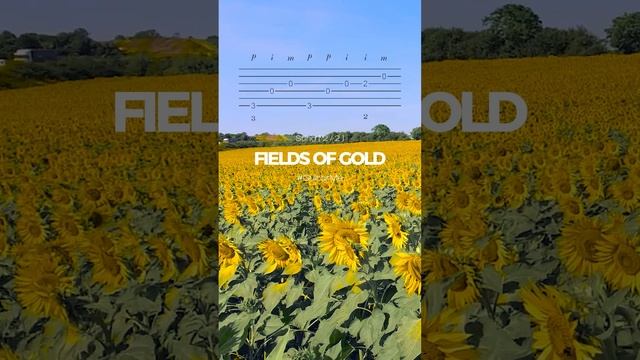 FIELDS OF GOLD Sting на Гитаре 2/2. Ноты и Табы GuitarMe School | Александр Чуйко