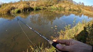 из леса на речку!🐟🐟🐟🐟👀
