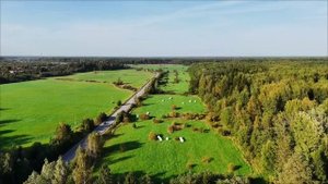 Мой первый полёт( DJI 4 pro)