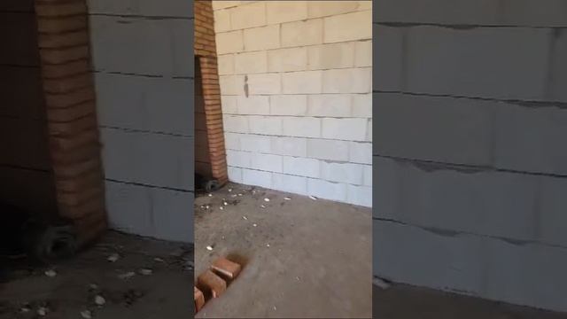 1000079026.mp4