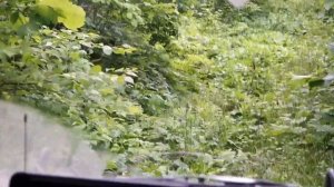 МегаКруйзер с. Молчановка (Партизанский район ПК), июнь 2016