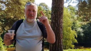 Рядом с родником, Сестрорецк