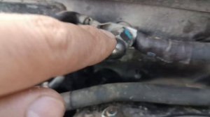 дубляж на гранте
