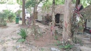 тусовочный отель Пангана