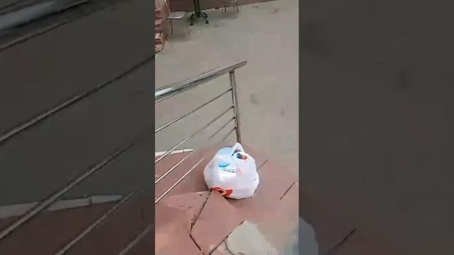 Помогая всем миром: Курск