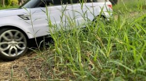 Unboxing - Range Rover Sport 1/10 Scale RC Model Car | Licensed by Land Rover