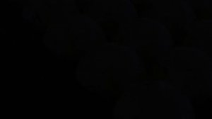 Берег реки Шелонь деревня Песочки