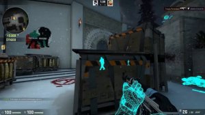 БАБУШКА ЧИТЕР?! - ТРОЛЛИНГ В CS:GO 2 ШКОЛЬНИКОВ ПОЛЯКОВ