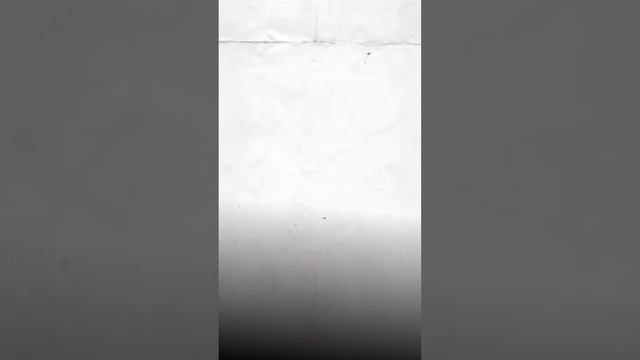 8 апреля в 18:00 урок по трихологии! Ставь + в комментарии и вышлем доступ к уроку смотреть онлайн