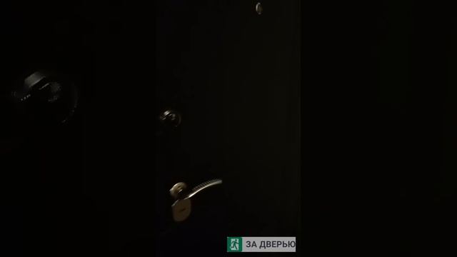 Отзыв о двери Кондор Честер