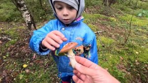 УЧУ ДЕТЕЙ СОБИРАТЬ ГРИБЫ С МАЛЫХ ЛЕТ