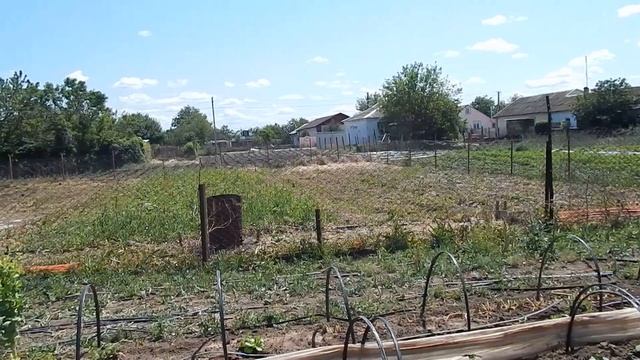 Получили 200 000 рублей от государства на ведение личного подсобного хозяйства. Социальный контракт.