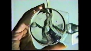 Reciprocal inhibition_two-sided