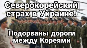 СЕВЕРОКОРЕЙСКИЙ СТРАХ В УКРАИНЕ!