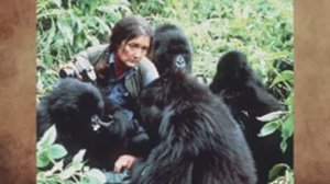 Человек и обезьяна. «Литературный четверг»