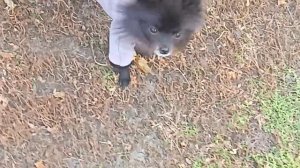 Сшила первый в моей жизни комбинизон, но???!!!