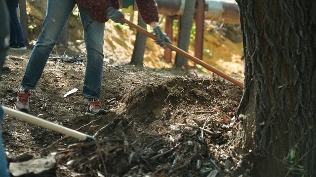 Акция Фонда Экология, РСХБ и Росприроднадзора по очистке береговой линии р. Миасс в г. Челябинск