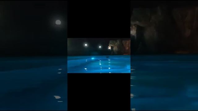 22 ноября 2023 г.