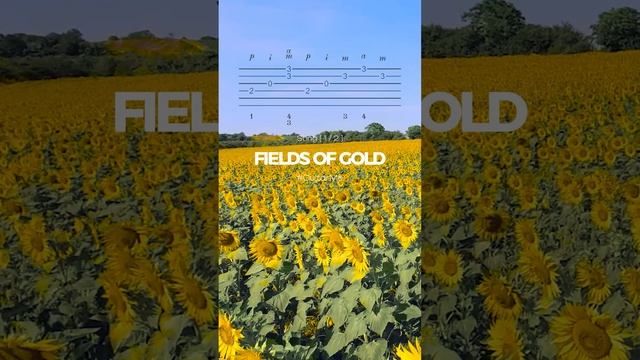 FIELDS OF GOLD Sting на Гитаре 1/2. Ноты и Табы GuitarMe School | Александр Чуйко