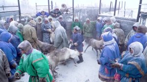 Сельское хозяйство - не просто отрасль, это образ жизни