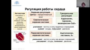 МК Медицинское теория-2