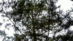 Как сделать откатные ворота просто и дешево.