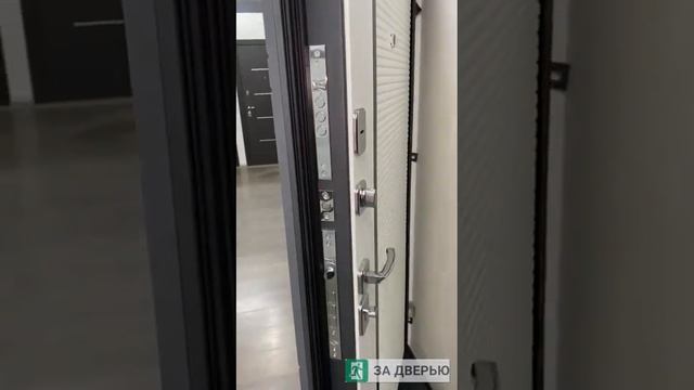 Обзор двери Гранит С9