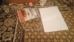 пожарная тревога в школе