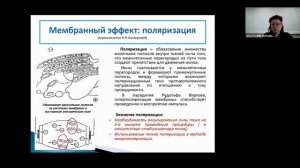 Микрополяризация: общая информация | Нейростим